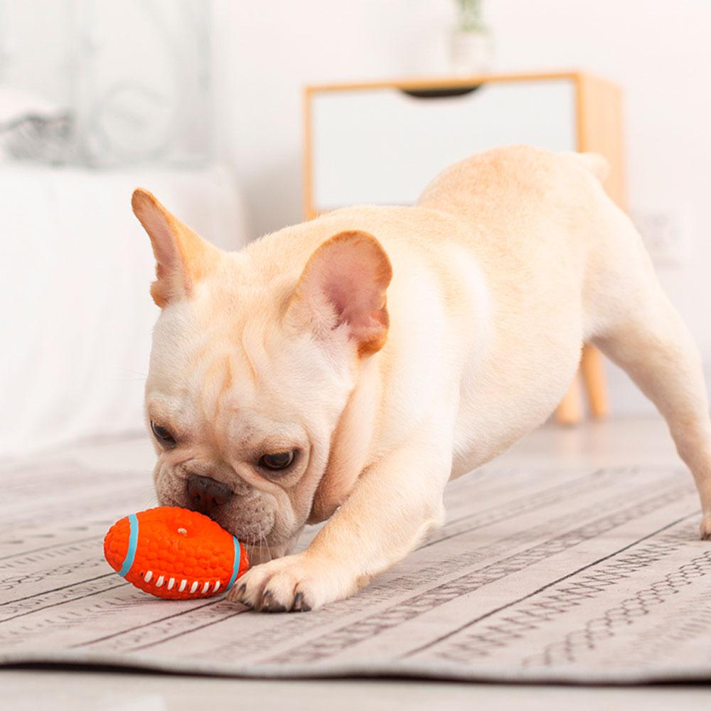 Jouet pour chien interactif et balle amusant – Image 5